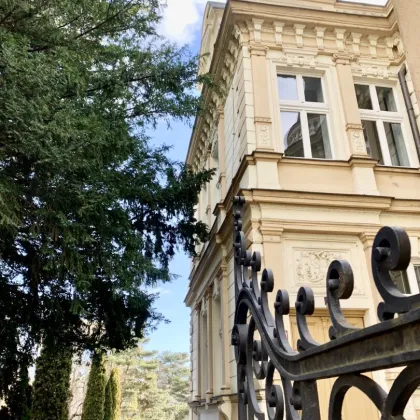 Bestlage historische Altstadt! Gründerzeit-Villa mit modernem Zubau und Parkplätzen - Bild 3