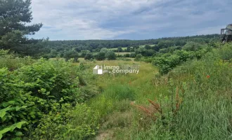 Perfektes Grundstück für Pferdeliebhaber - ca. 7250m² paradiesisches Potential im Burgenland!