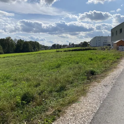 Eigenheim jetzt sichern, Traumimmobilie in St. Marien, Oberösterreich - Haus 3 Lavendelweg - Bild 3