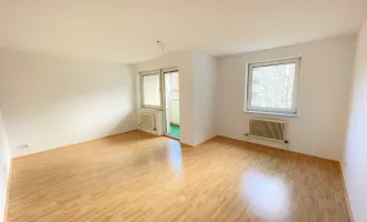 Sanierte Familienwohnung am Murufer mit Loggia ab 01.11.24 bezugsfertig!