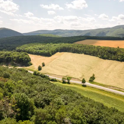 Landhaus in Bestlage mit Fernblick Nähe Baden - Bild 2