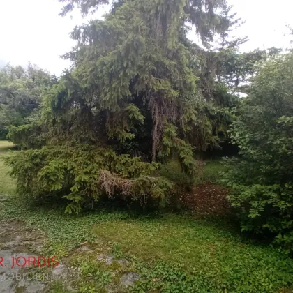 Top-Rarität in begehrter Lage, Baugrund Perchtoldsdorf - Bild 2