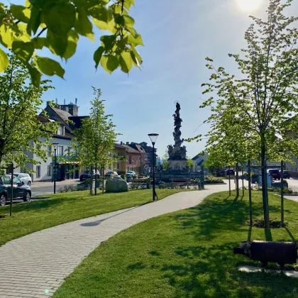 Leben am Hauptplatz von Ernstbrunn - im Herzen des Weinviertels - Bild 2