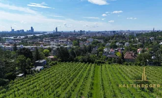 Einzigartige Villenlage am Fuße des Nussbergs - mit Baubewilligung Neubau Luxusvilla mit Pool und Tiefgarage