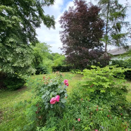 ** IDYLLISCHES EINFAMILIENHAUS ** RUHE-OASE ** GARTEN MIT ALTBAUMBESTAND **KACHELOFEN ** TERRASSE ** GROSSZÜGIGE GARAGE ** - Bild 3