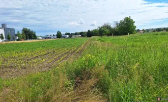 Oberwart: Betriebsbaugrund am Stadtrand!