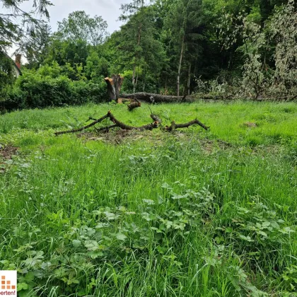 Tolles Grundstück im Gemeindegebiet von Klosterneuburg! - Bild 2