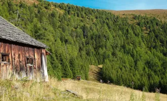 Kleines aber erlebnisreiches Jagdrevier im Salzburger Land