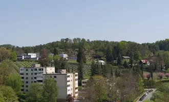 Großzügig geschnittene Wohnung mit Loggia und Fernsicht, auch für WG-geeignet!