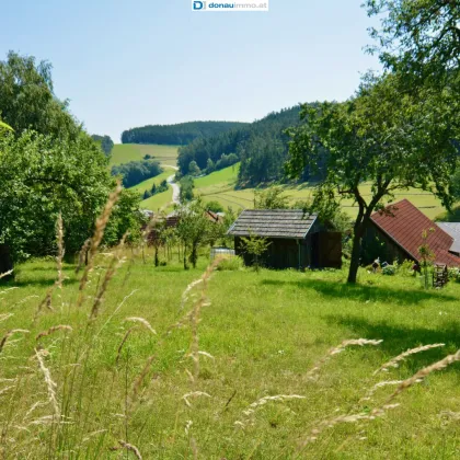 Vierkanthof mit liebevollen großen Garten in Ruhelage - Bild 2