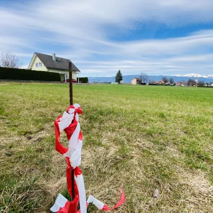 Bauen in Weißkirchen: Top Grundstück für Ihr zu Hause - Bild 3