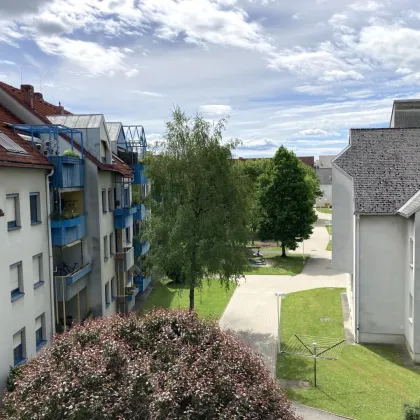 PROVISIONSFREI DIREKT VOM EIGENTÜMER! 3 ZIMMER WOHNUNG MIT TERRASSE IN EGGENBERG - Bild 3