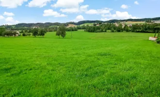 Naturnahes Wohnbau-Grundstück zwischen Mattighofen und Ried. - Ihr Platz für ein Traumhaus.