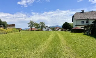 Endlich ein leistbarer Baugrund in Ohlsdorf.