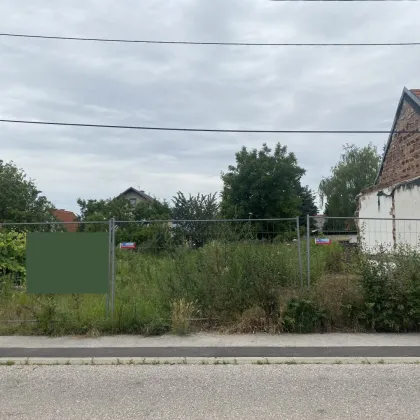 Bestandsfreies Grundstück in Essling! I Ideal für ein Einfamilienhaus I 498 m² - Bild 2