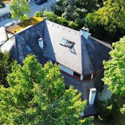 1.452m² in der LOHNSTEINSTRAßE, die ehemalige Villa von Johannes Heesters in Perchtoldsdorf - Bild 2