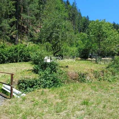 Wohnen am Waldrand mit eigenem Bächlein - Natur pur - Bild 3