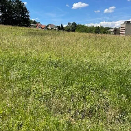 Oberwart: Baugrund in erhöhter Waldrandlage! - Bild 2