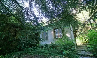 Sanierungsbedürftiges Jahrhundertwendehaus mit Grünlandanteil im Irenental