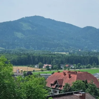 BAUGRUND MIT HERRLICHER, UNVERBAUBARER AUSSICHT AUF HOCHOSTERWITZ! - Bild 2