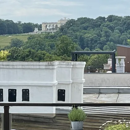 EXKLUSIVE DACHTERRASSEN-MAISONETTE - mit einzigartigem Direktblick auf die Gloriette - Bild 2