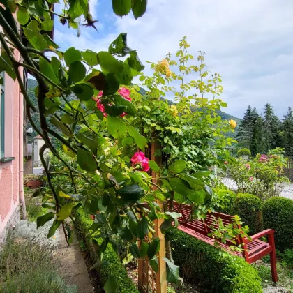 Der Duft einer Rose verweht im Wind - romantisches Häuschen mit Flair mitten in der Wachau - Bild 3