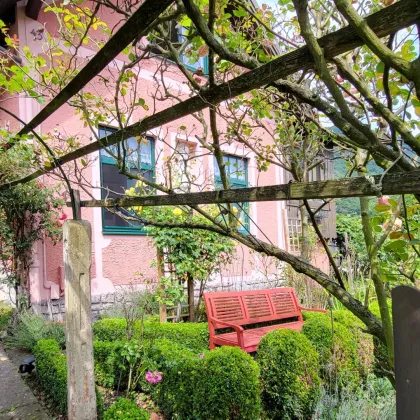 Der Duft einer Rose verweht im Wind - romantisches Häuschen mit Flair mitten in der Wachau - Bild 2