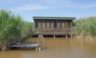 Flachdach-Seehütte in ruhiger Lage der Ruster Südbucht