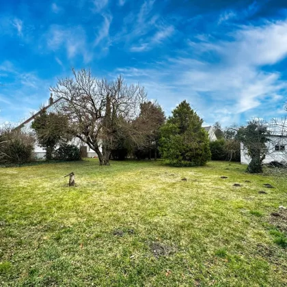 EINFAMILIENHAUS | riesiger Garten + herrliche Terrasse | Garage | Platz für die ganze Familie | Ruhelage | grüne Umgebung - Bild 2