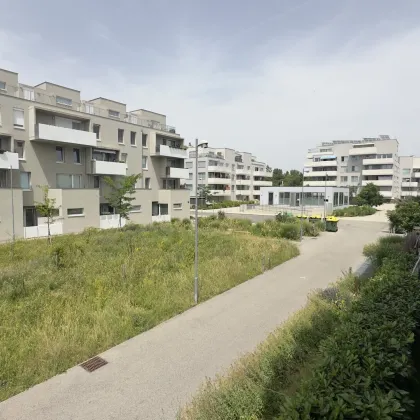 Nächst VetMed: Wohnung in familienfreundlicher Wohnanlage mit Tiefgaragenplatz - Bild 3