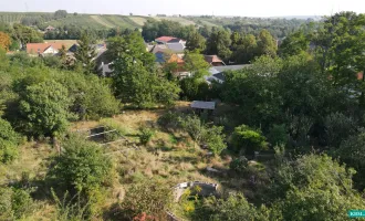 Sanierungsbedürftiges Haus mit großem Garten