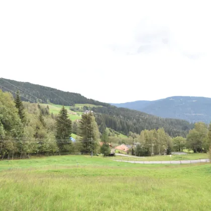 "Traumhaftes landwirtschaftlich genutztes Grünland nahe der Gerlitzenalpe" - Bild 3