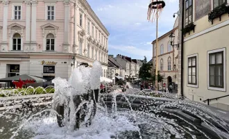 Top ausgestattetes Büro mit viel Platz, nahe dem Mödlinger Stadtzentrum