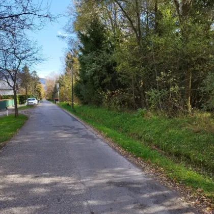 Baugrundstück in sonniger Lage nahe dem Leopoldskroner Weiher in Salzburg - Bild 3