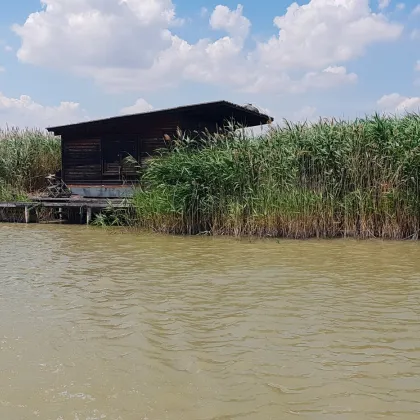 Abbruchreife Seehütte in ruhiger Lage der Ruster Südbucht - Bild 3