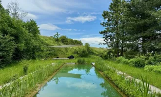 ABSOLUTE RUHELAGE: Freizeitparadies in der Wachau