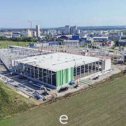 NEUBAU - Produktions / Lagerhalle mit Büroflächen in Enns/Ennshafen zu vermieten, Objekt 5 – individuell und zukunftsorientiert - Bild 2