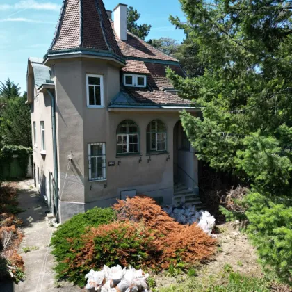 *****Sanierungsbedürftige Villa****** - Bild 2