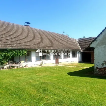 Bauernhaus, ca. 90m², 100 Jahre alt, mit ca. 6000m² arrondierendem Grund, davon ca. 3700m² Bauland. - Bild 2