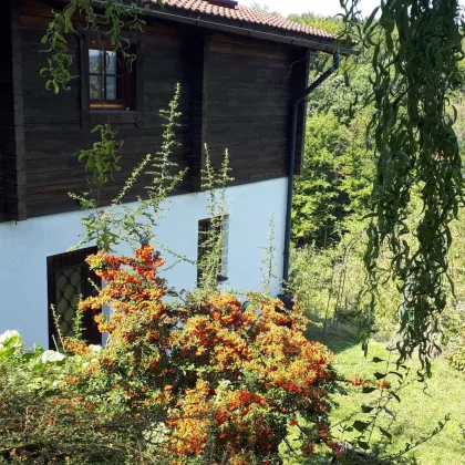 PARADIESISCH - EINFAMILIENHAUS in traumhafter  Aussichtslage - Bild 2