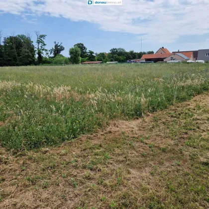 Großes Baugrundstück mit ca 6000 m² in Theresienfeld - Bild 2