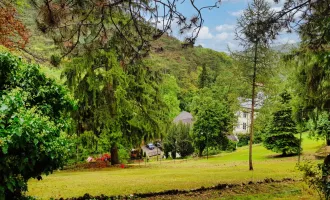 baugenehmigtes Wohnbauprojekt für 5 Familienhäuser in außergewöhnlicher Villen-Waldrandlage! Rundum - Natur pur!