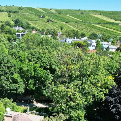 Stadtvilla mit Geschichte in begehrter Döblinger Lage am Fuße des Nussbergs - Bild 3