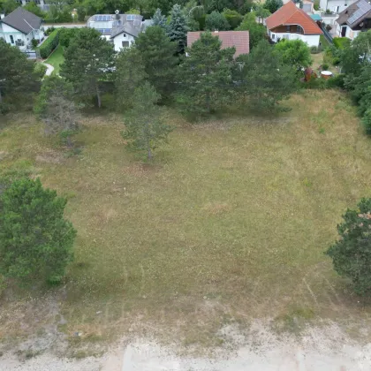 Bauträger aufgepasst! 4 Baugrundstücke nebeneinander 3644m² - Bild 2