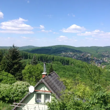 Grüne Oase am Stadtrand - Bild 3