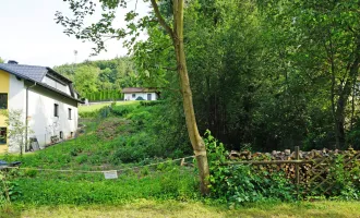 Grundstück in Grünlage im Pressbaumer Zentrum