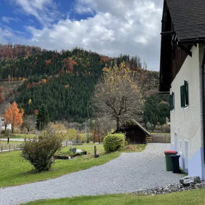 Landwirtshaft mit Gutshaus - nahe Graz - Bild 3