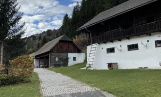 *** Historisches Bauernhaus mit Stallgebäude - optimal für Pferdeliebhaber ***