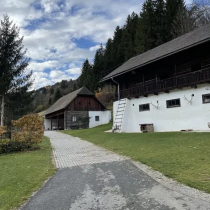 Landwirtshaft mit Gutshaus - nahe Graz - Bild 2