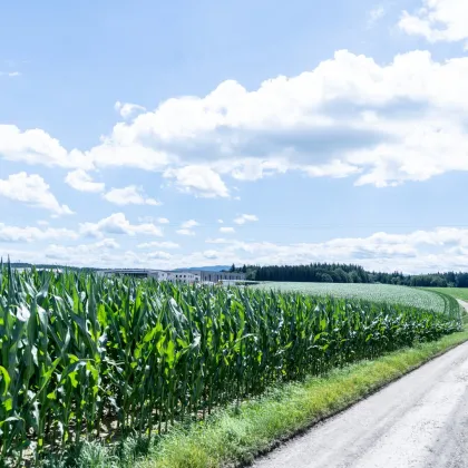 Perfektes Gewerbegrundstück mit Grünblick in Wolfern - Bild 2